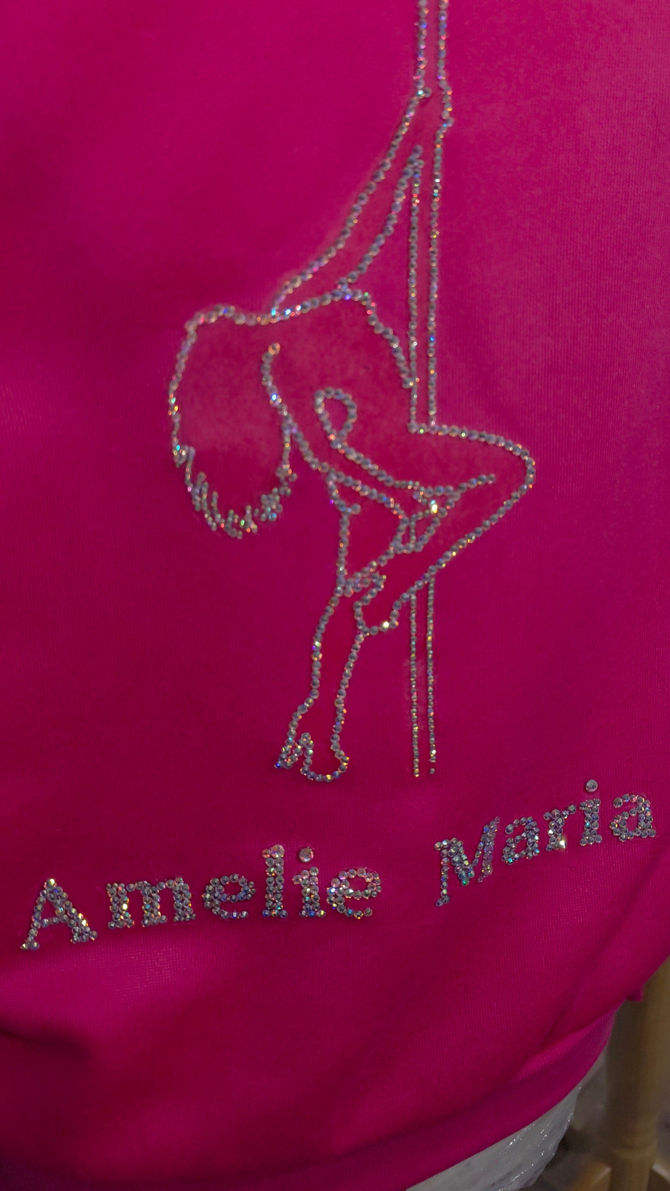 Custom Rhinestone Hoodie